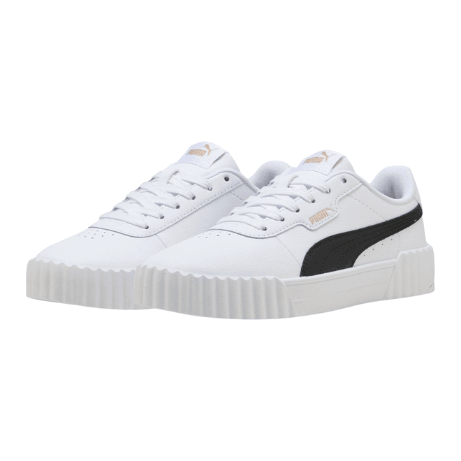 Puma Carina 3.0 