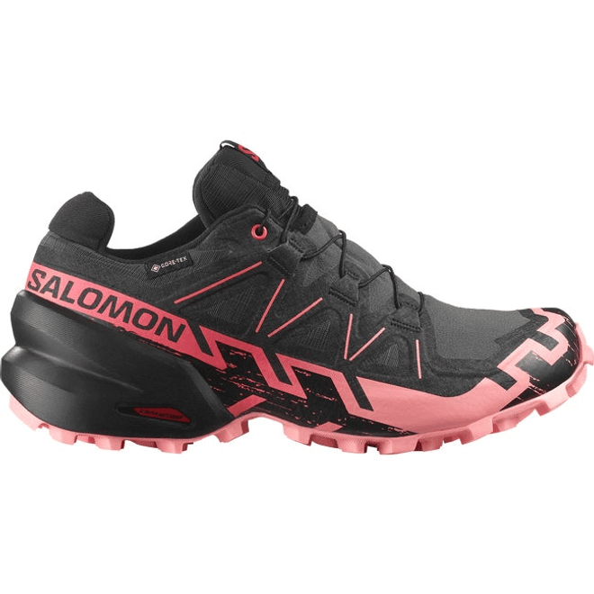 Salomon Speedcross 6 Gore-tex Nine Iron 