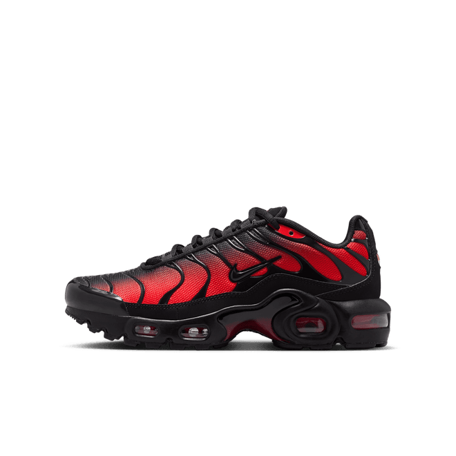 Nike Air Max Plus Older Kids'