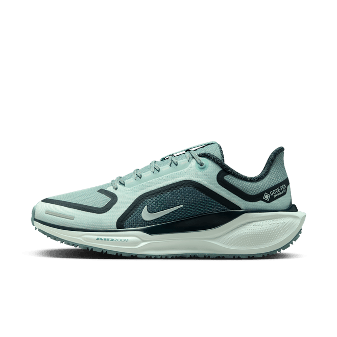 Nike Pegasus 41 GORE-TEX waterdichte