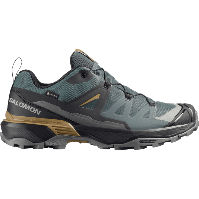 Salomon X Ultra 360 Gtx 