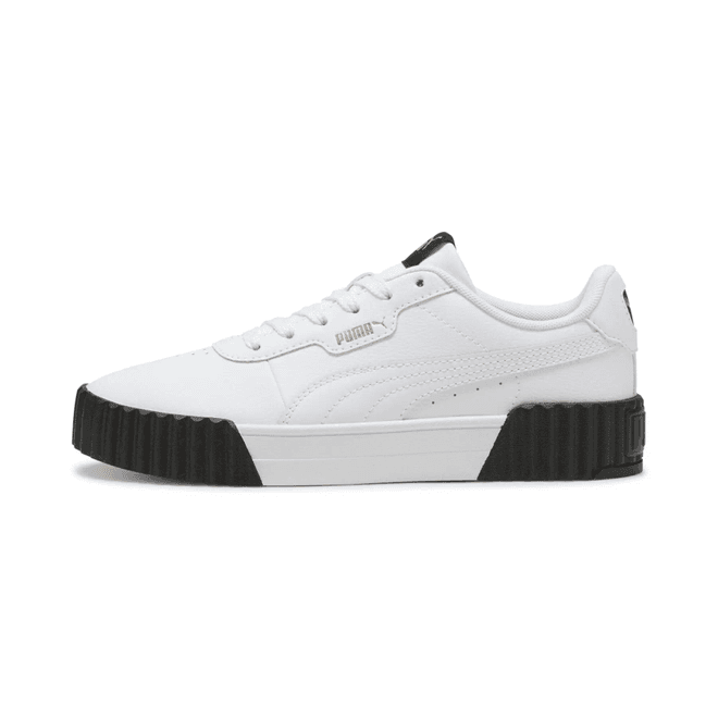 Puma Carina 3.0