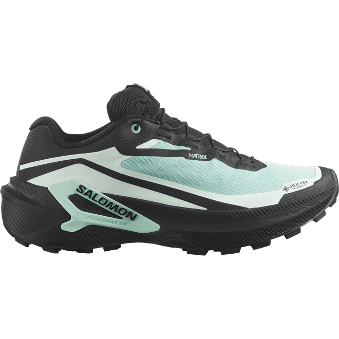 Salomon Genesis 2 Gtx W 