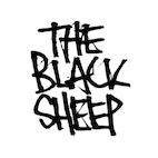 Buy NIKE SB ERIC KOSTON 2