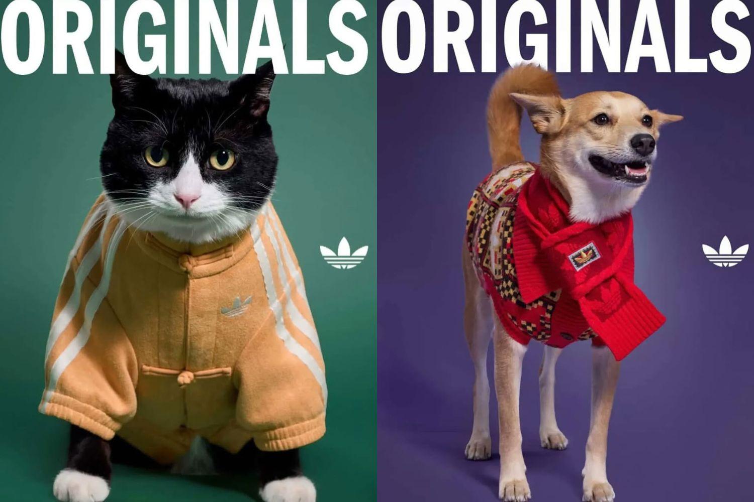 adidas Originals Drops 'Chinese New Year 2026' Collection Designed for Pets