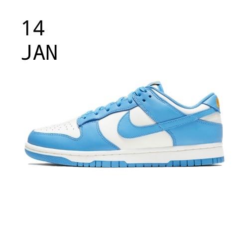 NIKE WMNS DUNK LOW &#8211; COAST &#8211; AVAILABLE NOW