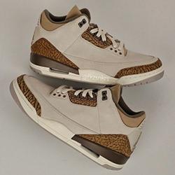 Nike Air Jordan 3 Palomino Rumoured for August Drop